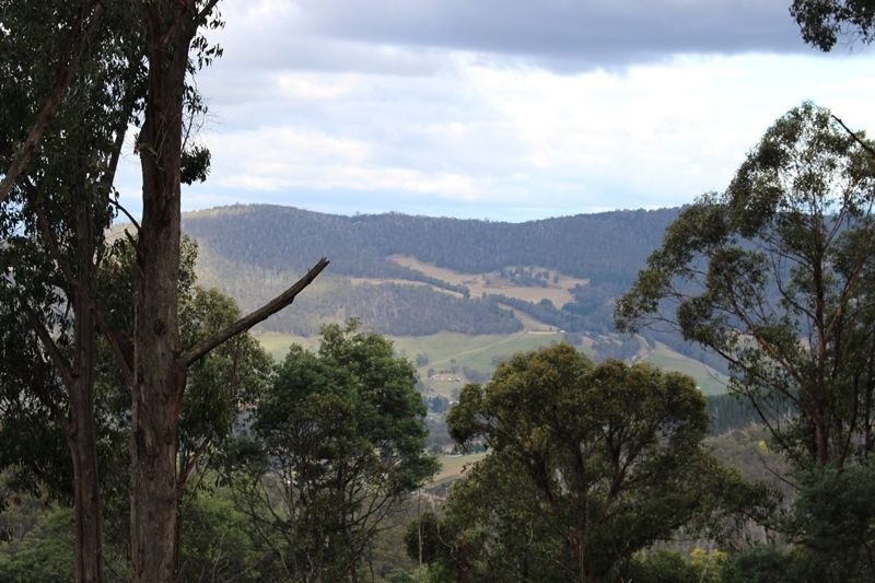 Lot 1 Waggs Gully Road, Ranelagh TAS 7109, Image 0