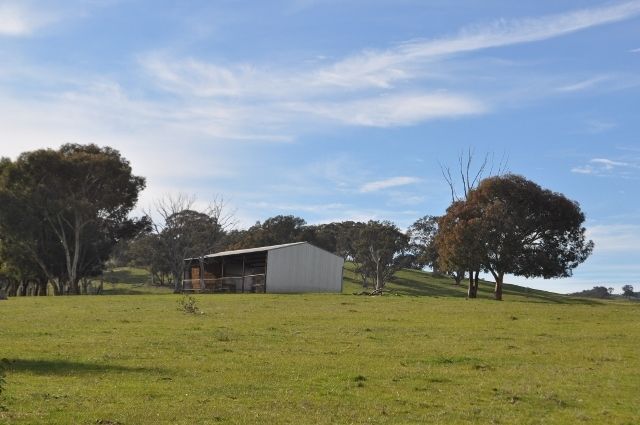 Lot 1 Martindale Road, Indigo Valley VIC 3688, Image 2