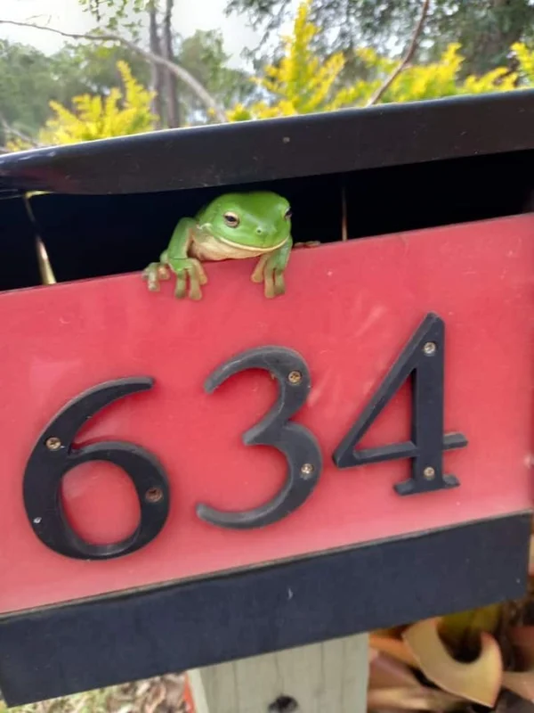 Image 28