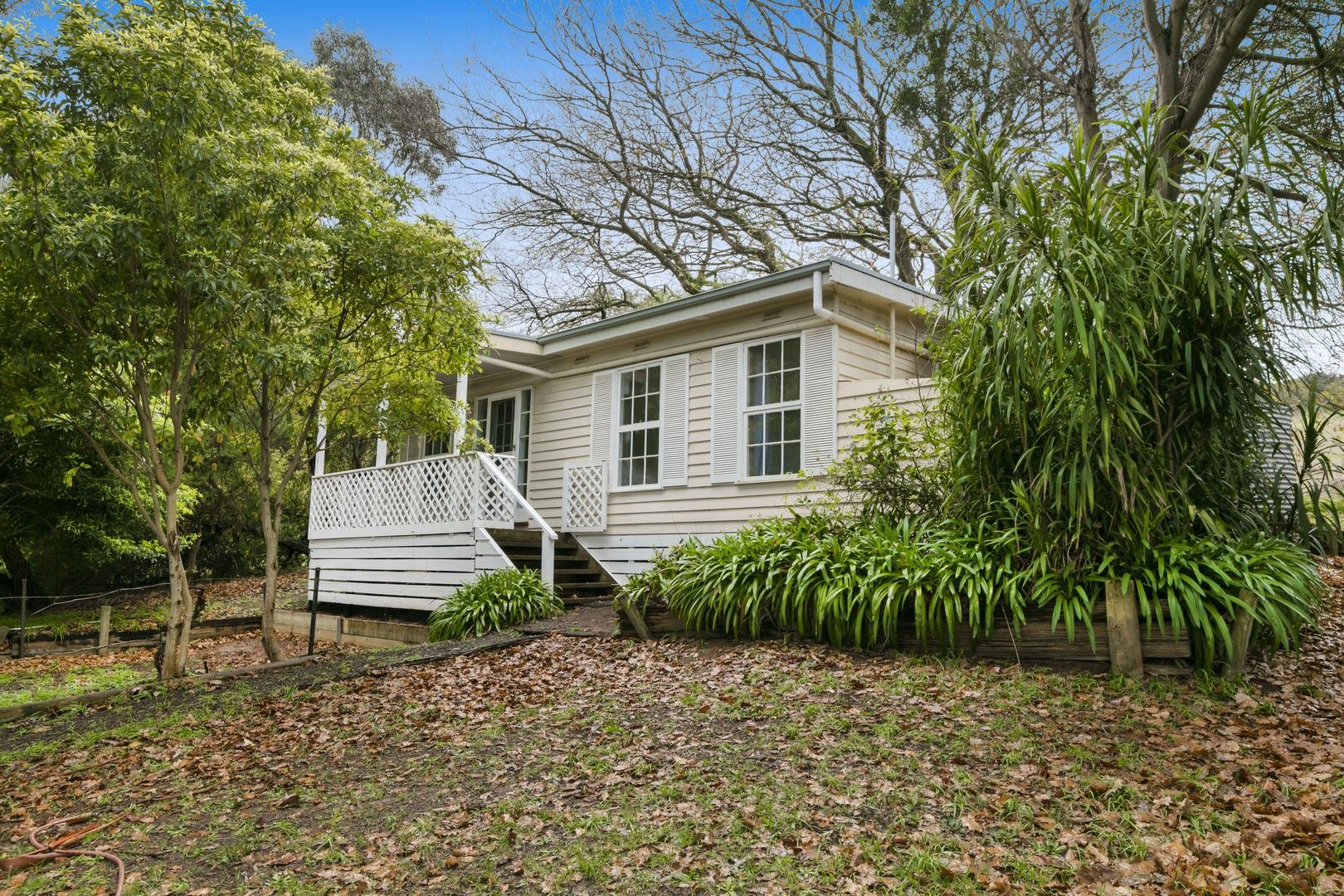 2B Callanans Road, Red Hill South VIC 3937 House For Rent Domain