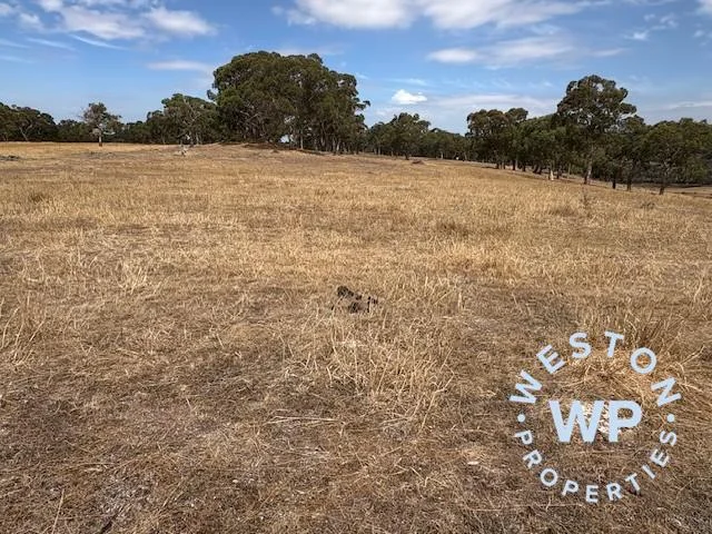 Additional image 14 of 20 Willodene Road, Macclesfield SA 5153