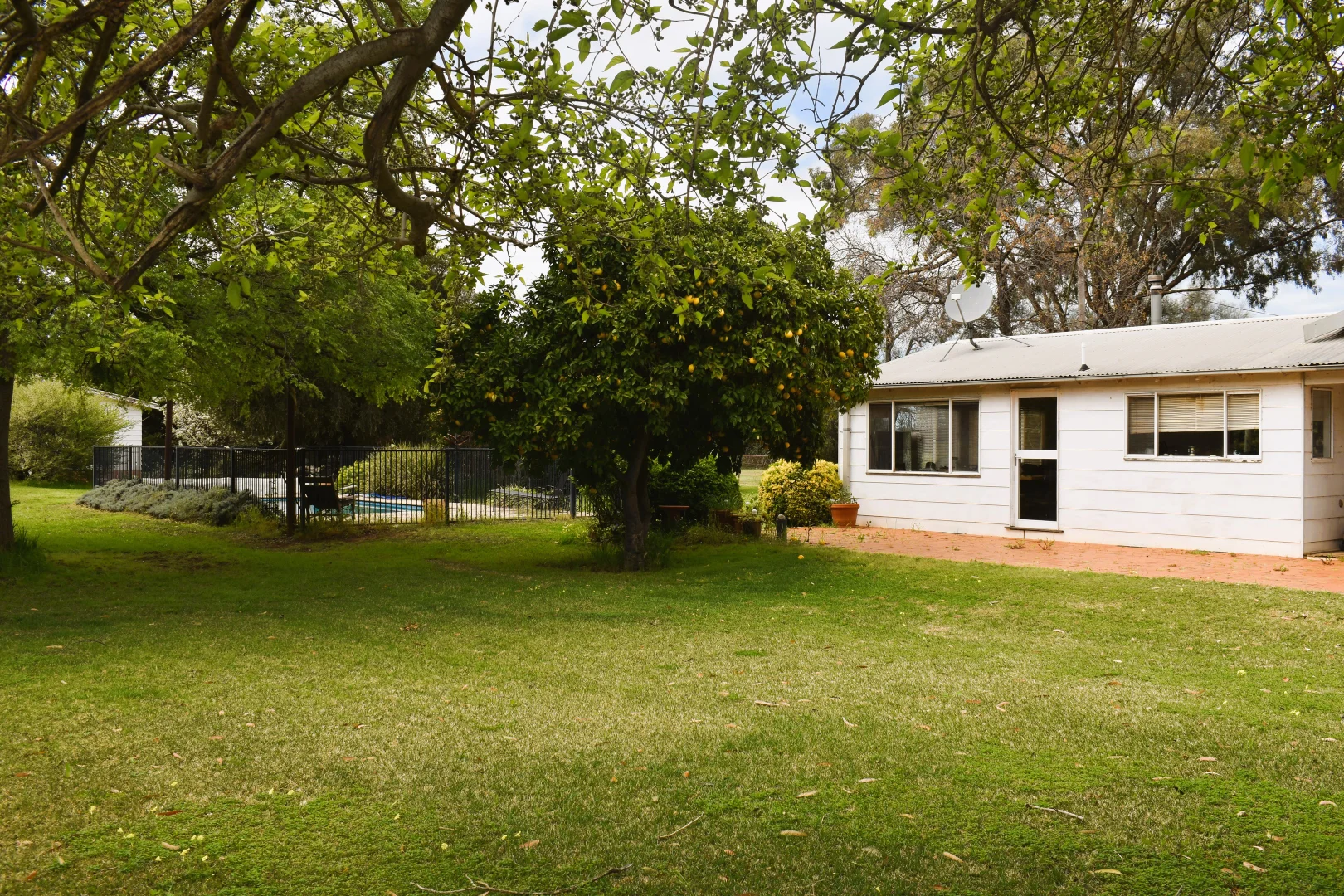 Image 15