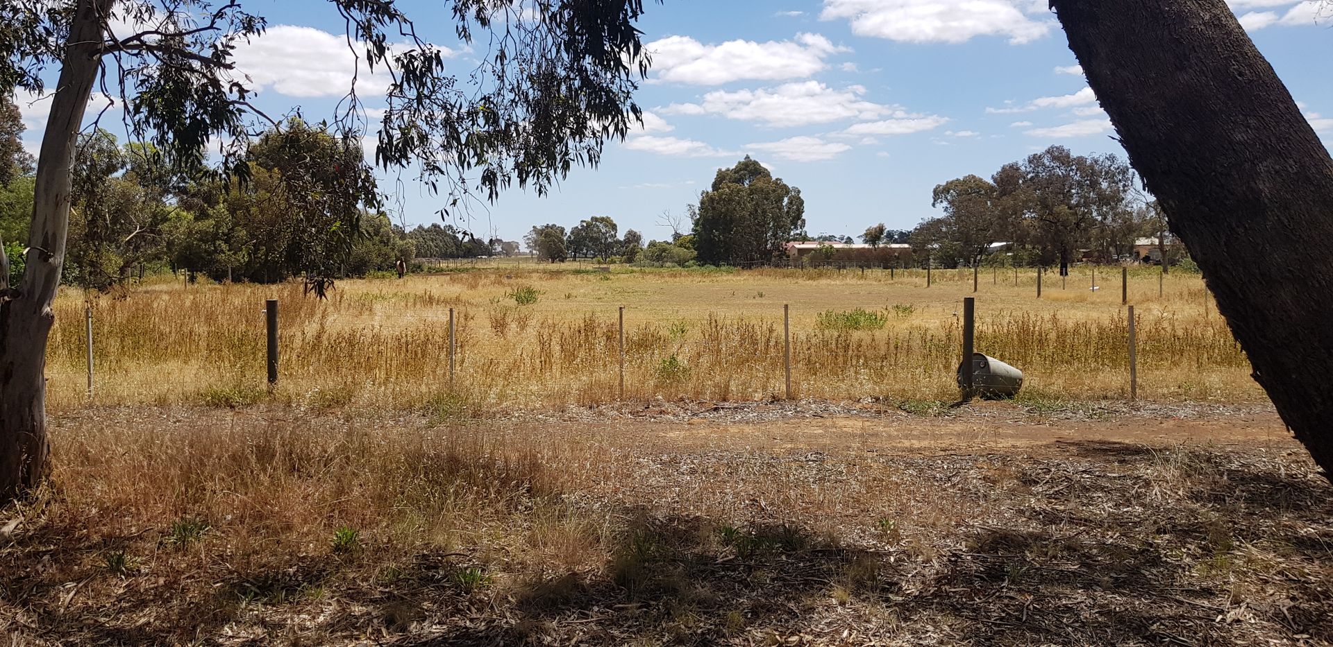 Lot 2 -31PP5277 Simmie St, Elmore VIC 3558, Image 1