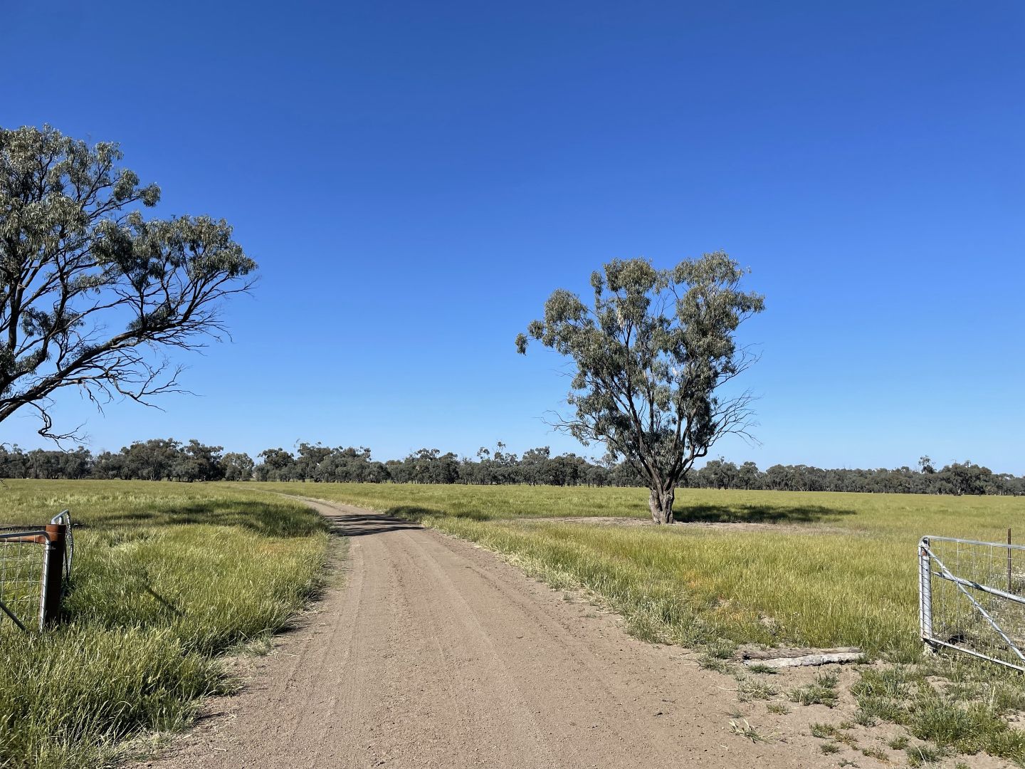 'Concord' 703 Cunninyeuk Road, Cunninyeuk NSW 2734, Image 2