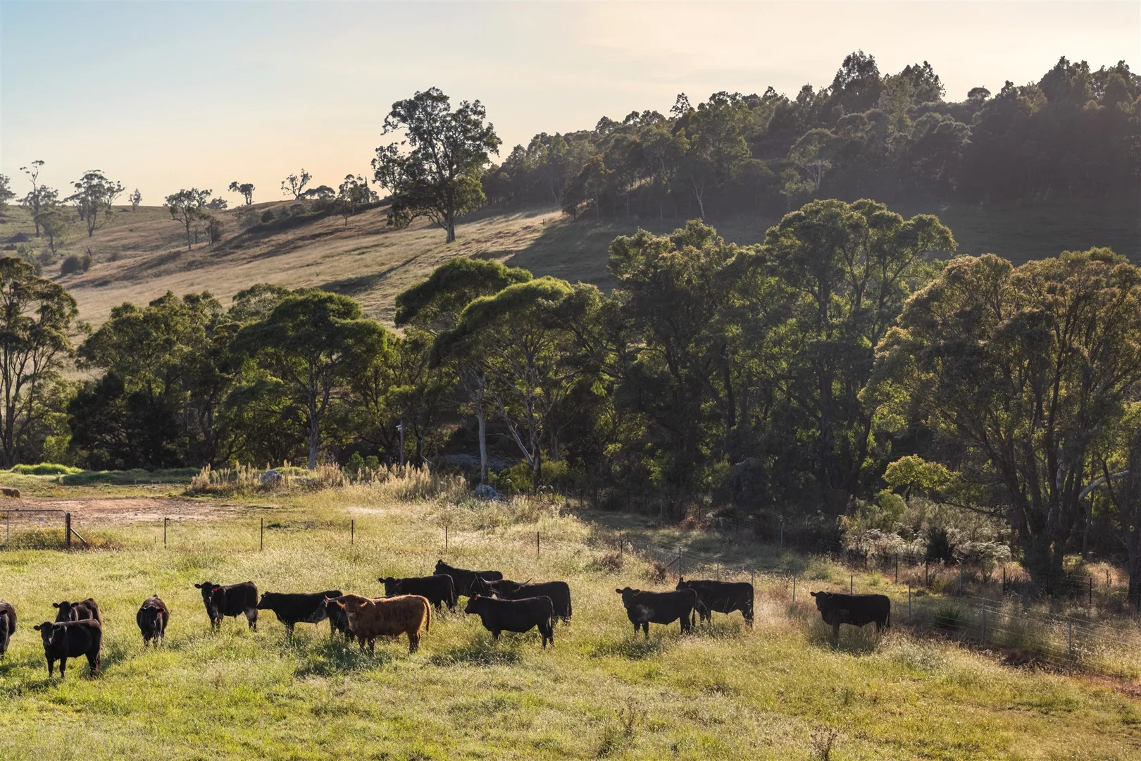 Additional image 43 of 8022 Illawarra Highway, Sutton Forest NSW 2577