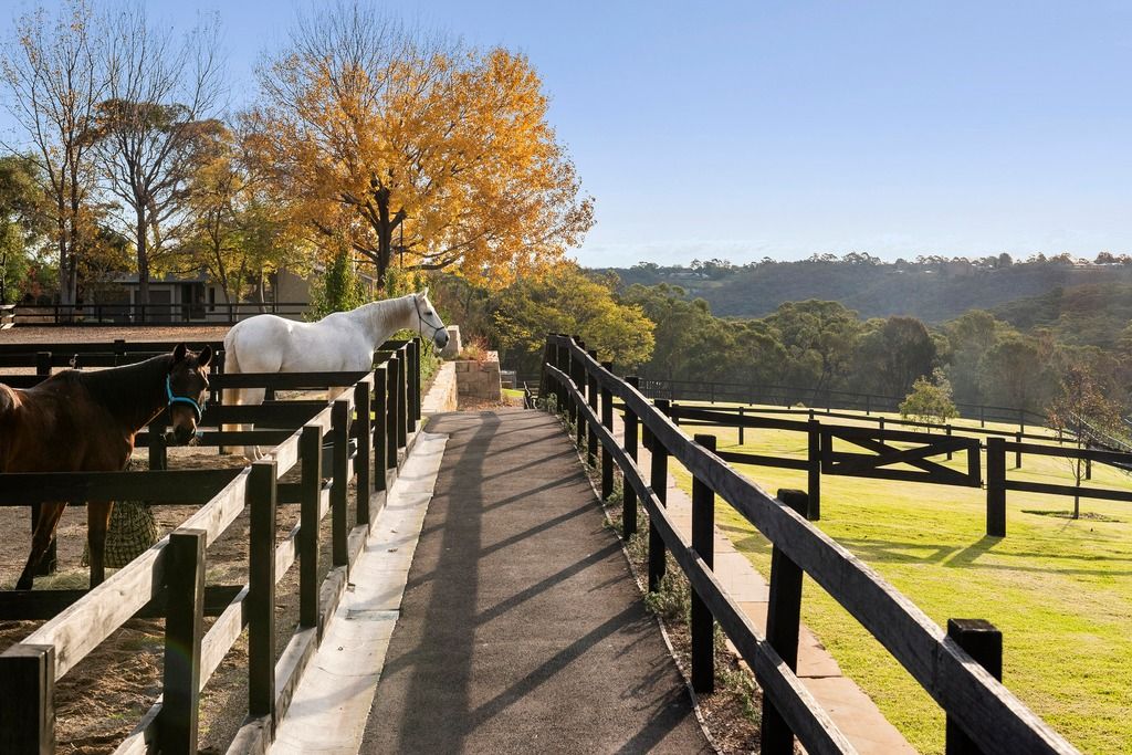 15 Myoora Road, Terrey Hills NSW 2084 House for Sale Domain