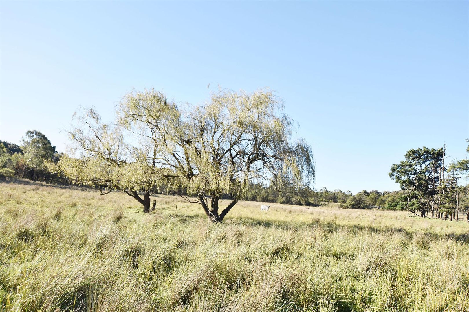 Lot 1/Lot 1, 29 Highland Way, Marulan NSW 2579 Vacant Land for Sale