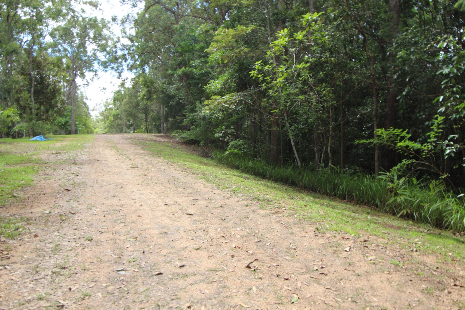 169 Mulgrave Road, Yungaburra QLD 4884, Image 2
