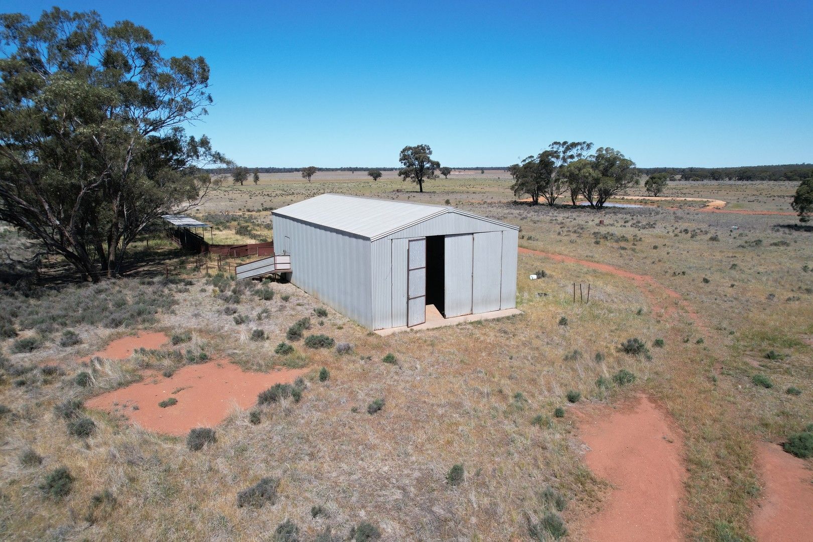 'Glen Iris' 871 Mid Western Highway, West Wyalong NSW 2671 Farm for Sale