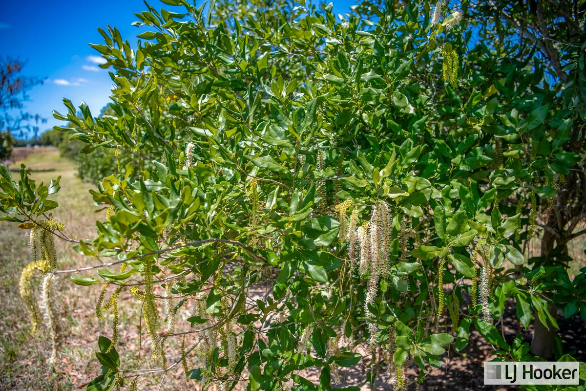 Additional image 5 of Meadowvale QLD 4670