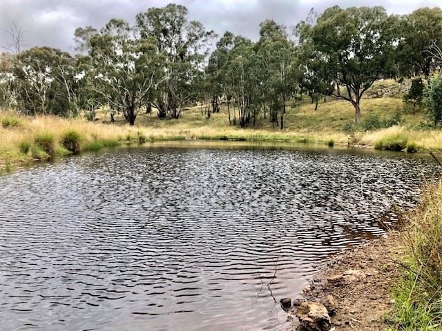 Lot 4/Part 'Beechworth' 60 Beechworth Road Hargraves, Mudgee NSW 2850, Image 0