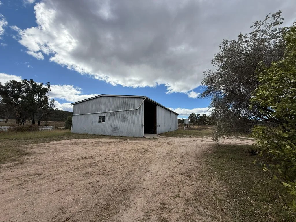 Image 7