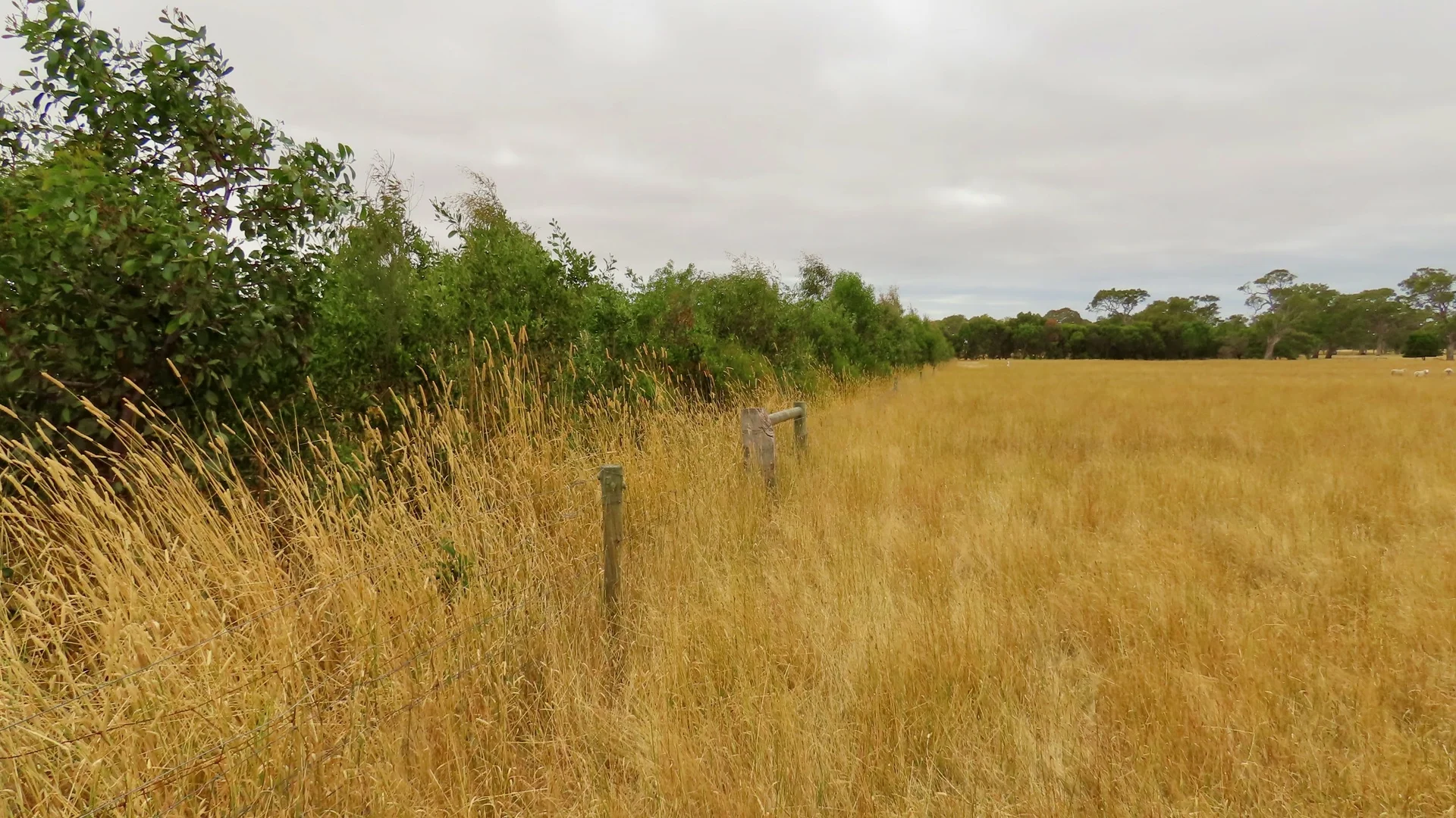 Image 12