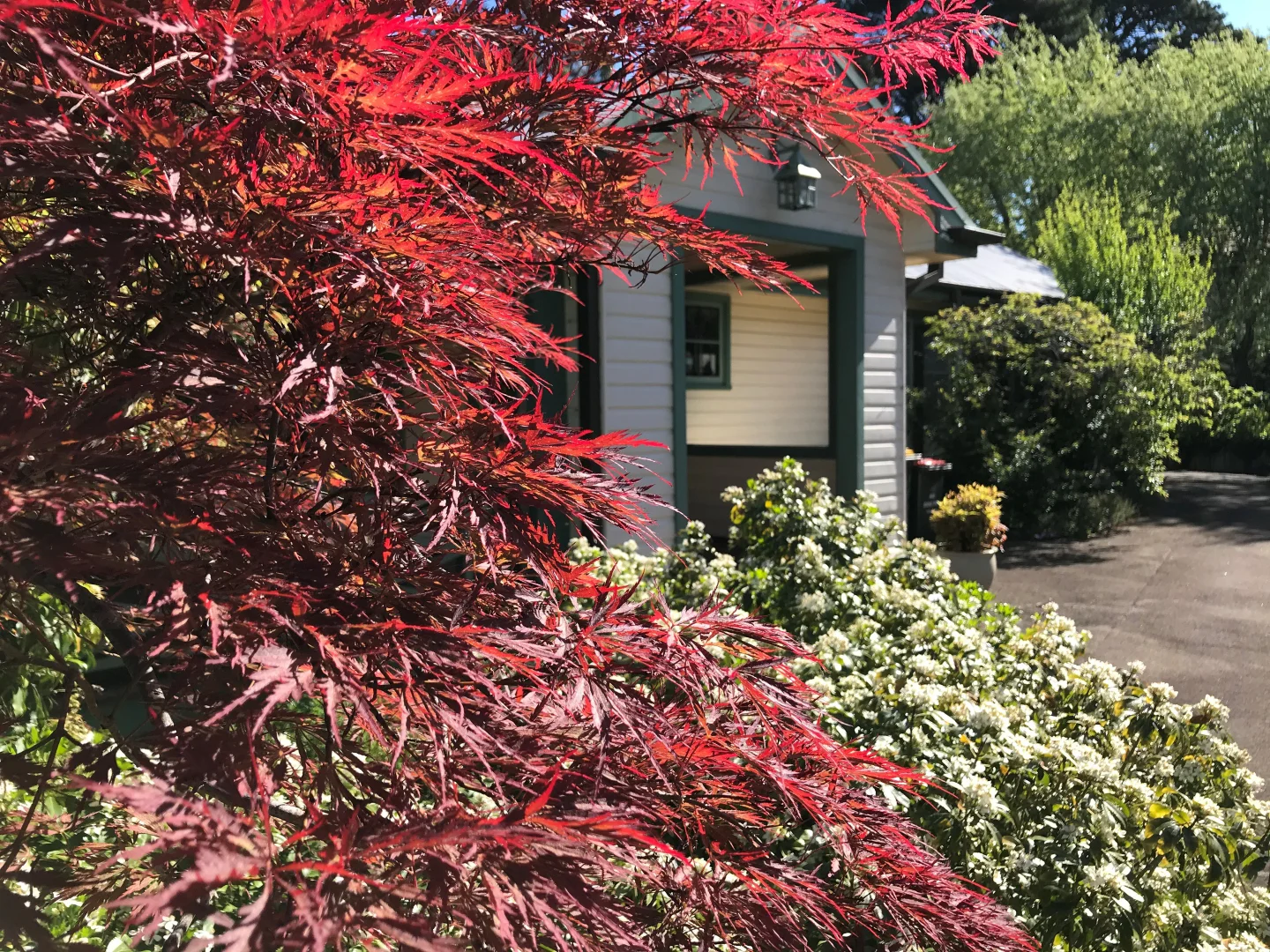 Additional image 11 of 17-17A Hartley Esplanade, Leura NSW 2780