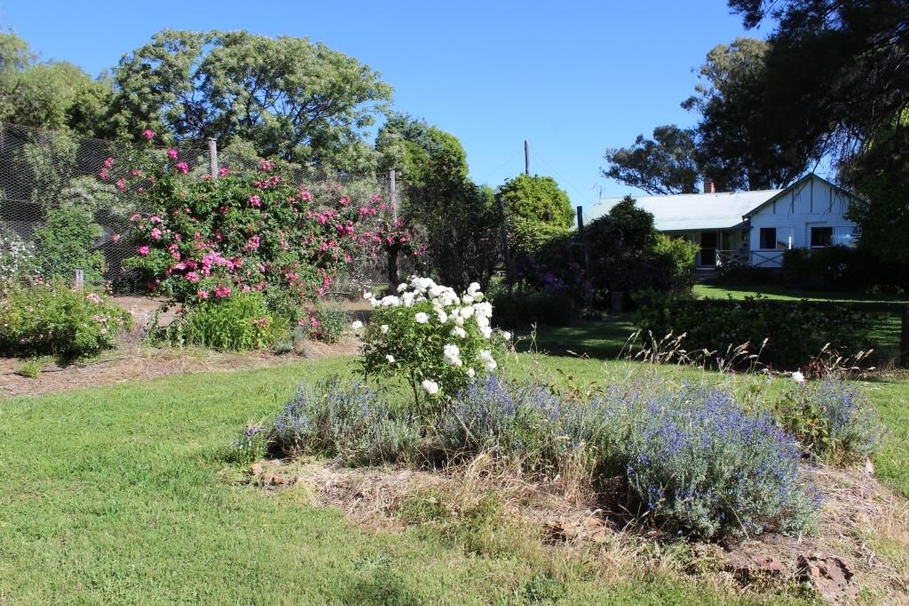 1 Brooklyn, Gulgong NSW 2852, Image 1