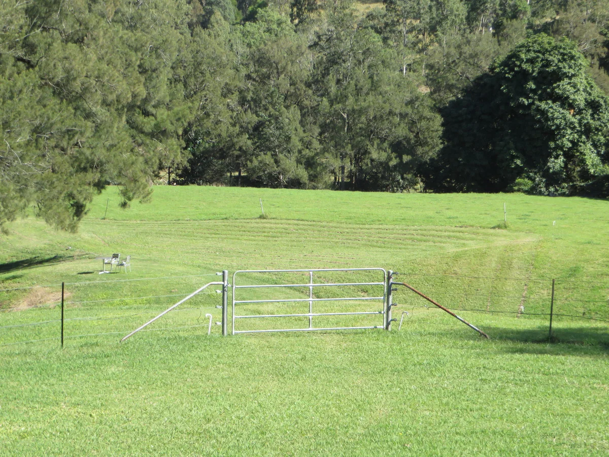 Image 17