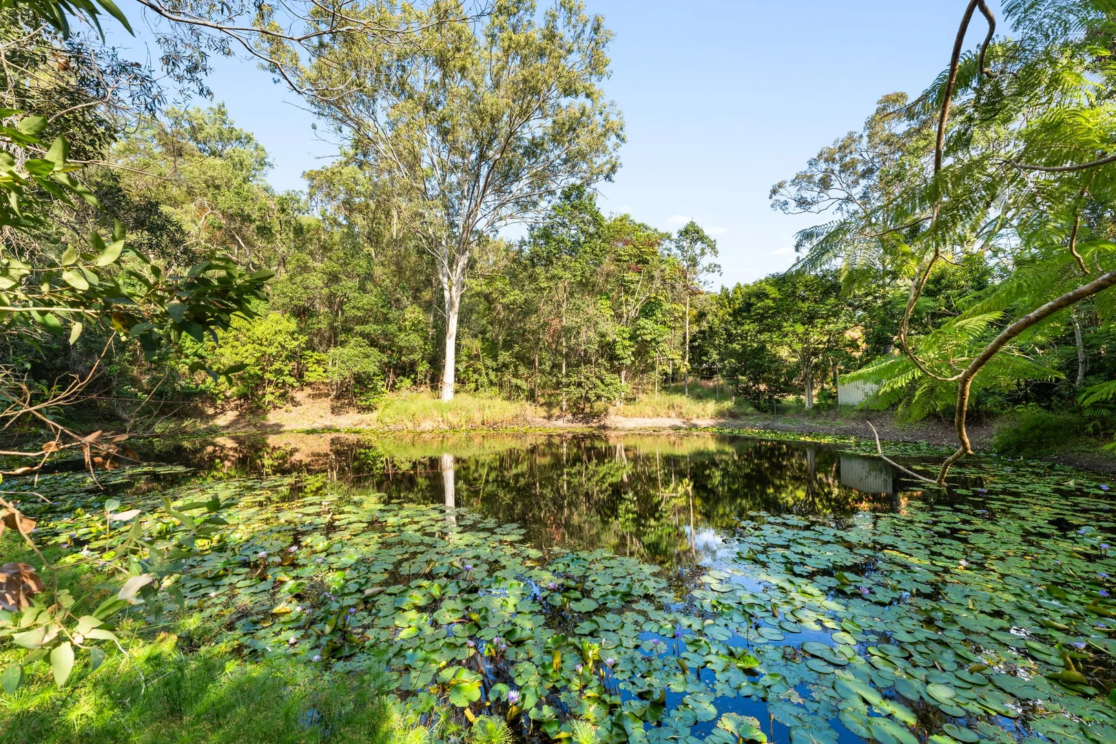 Additional image 5 of 57-63 Buena Vista Drive, Logan Village QLD 4207