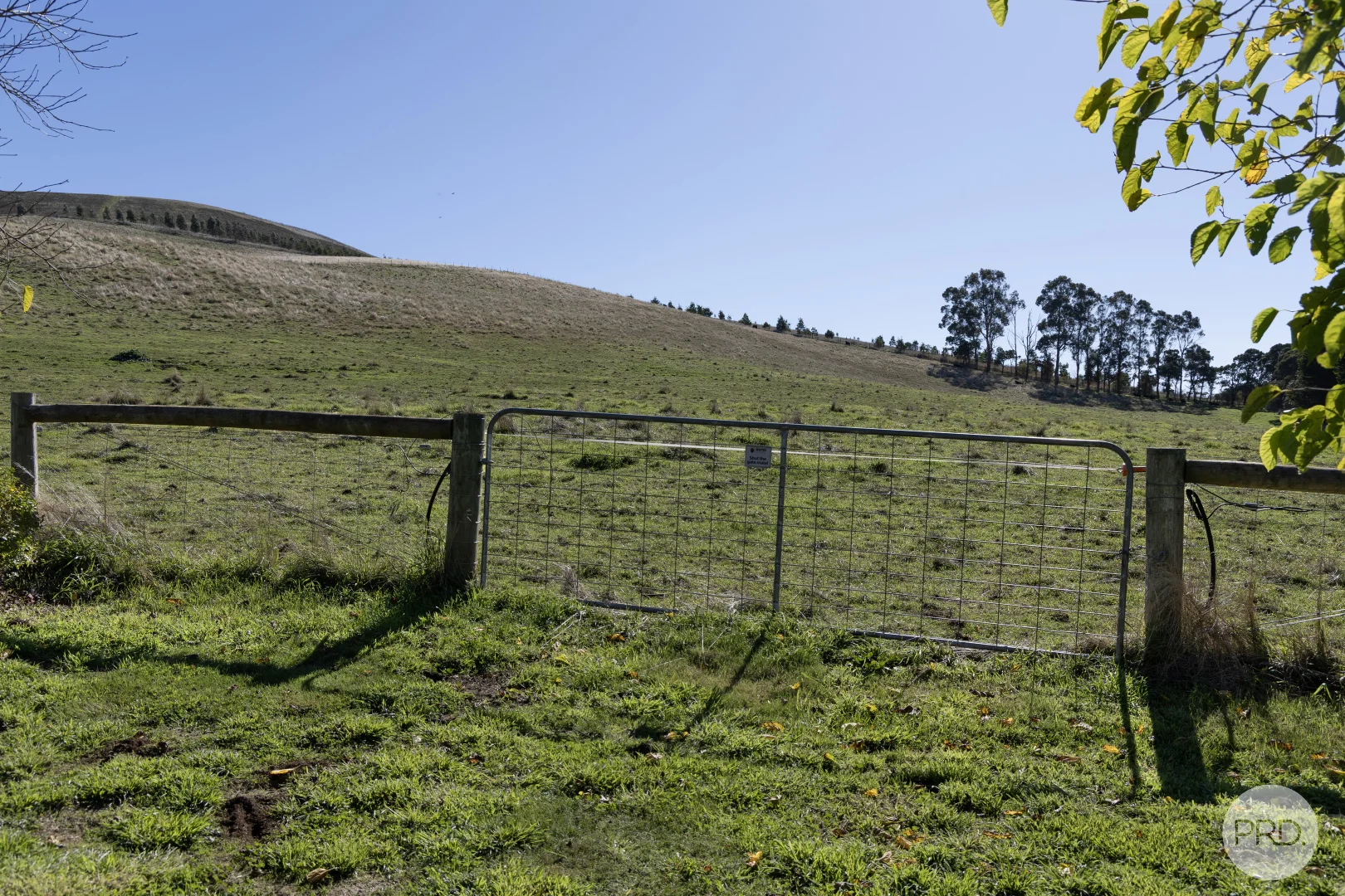 Image 12