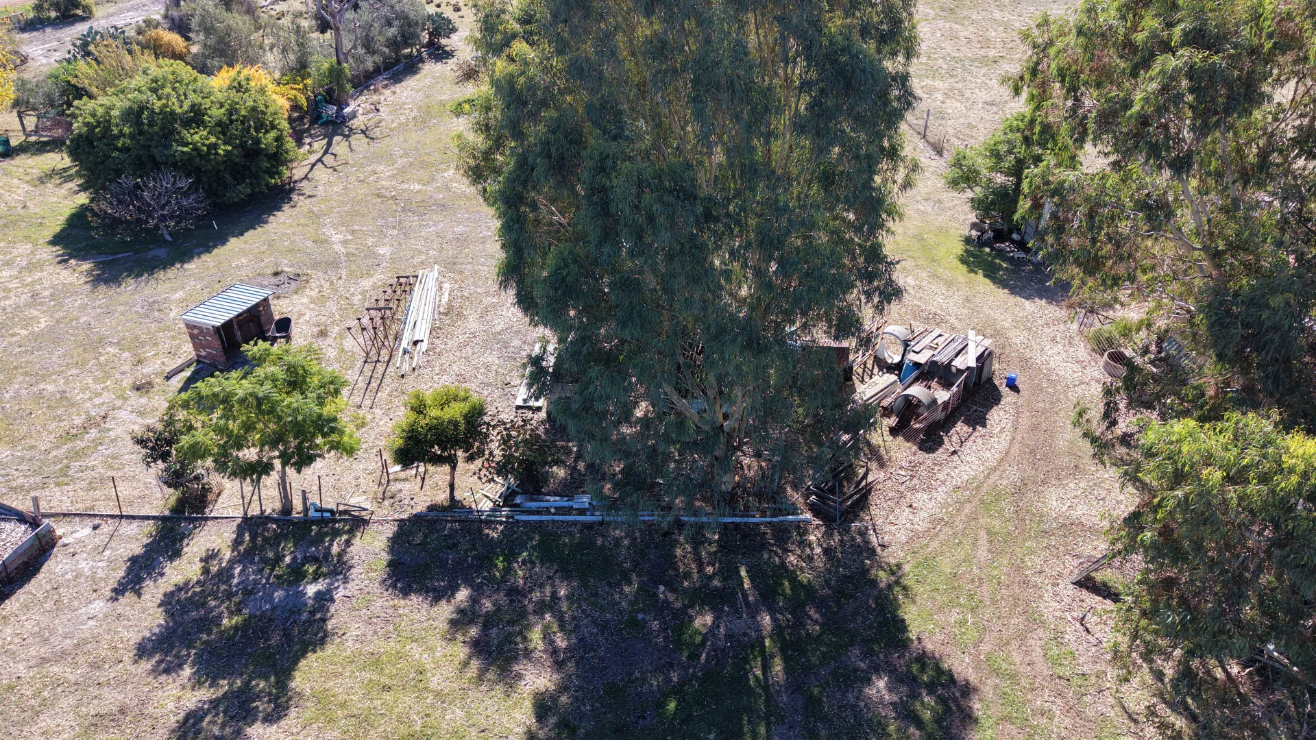 Image 11