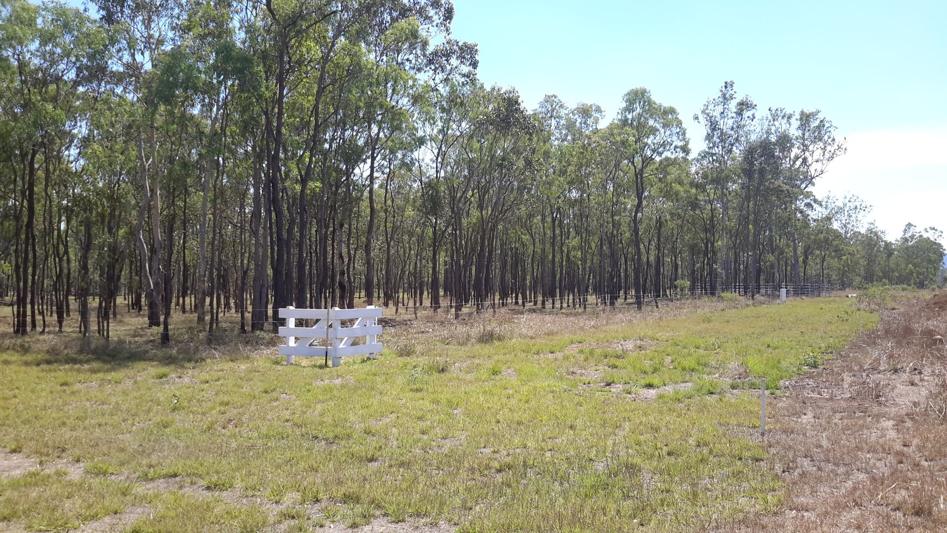 Lot 26/14319 Kennedy Hwy, Millstream QLD 4888, Image 1