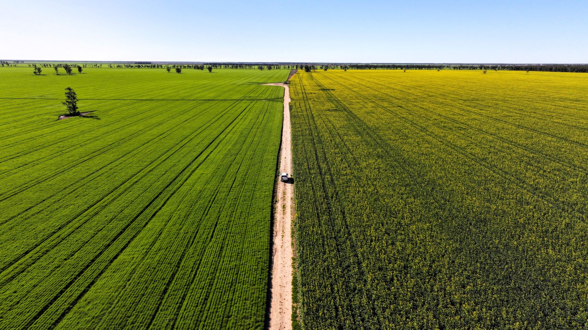 Newell Highway, Moree NSW 2400, Image 2