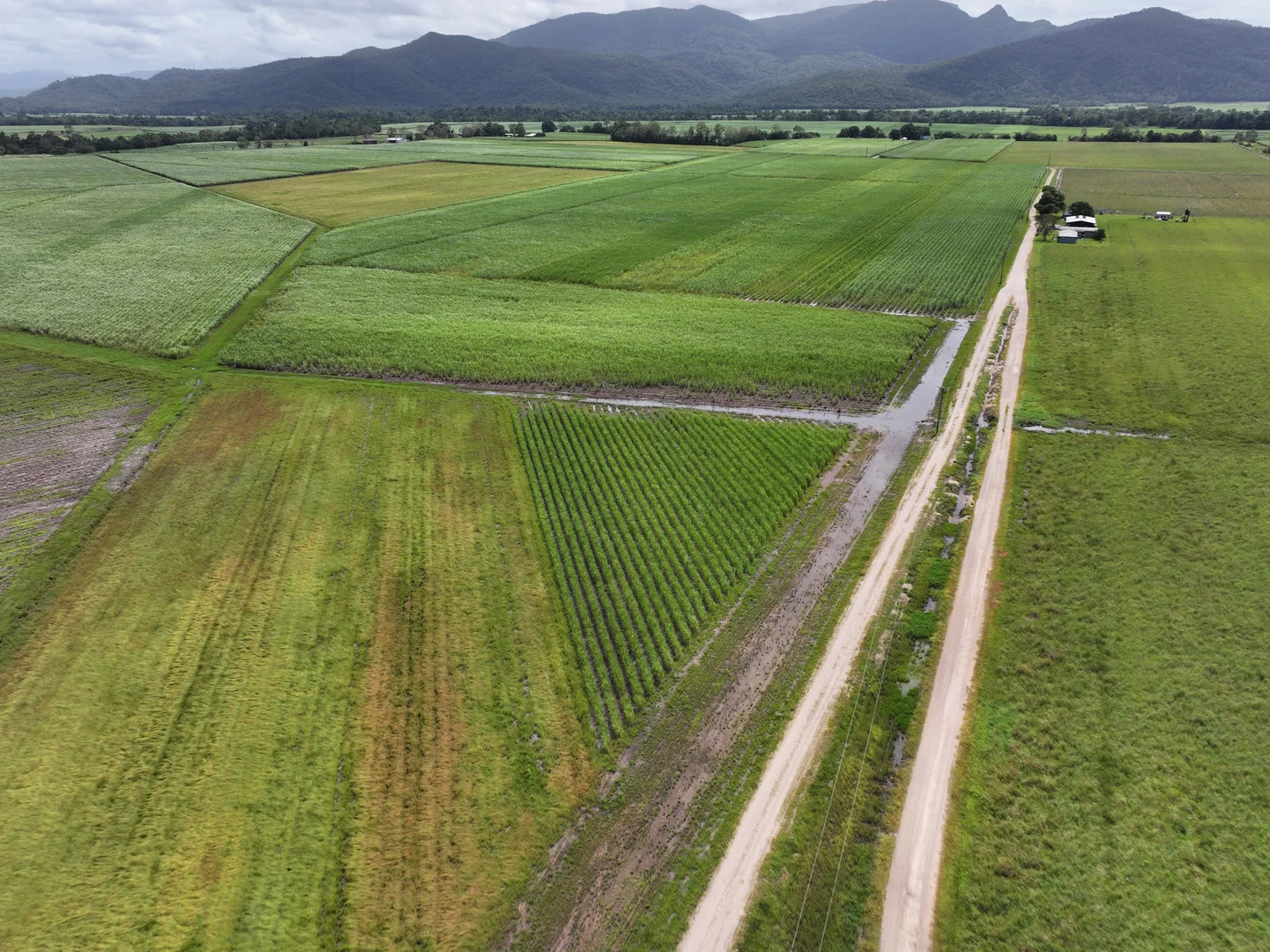 Additional image 5 of 962 Abergowrie Road, Trebonne QLD 4850