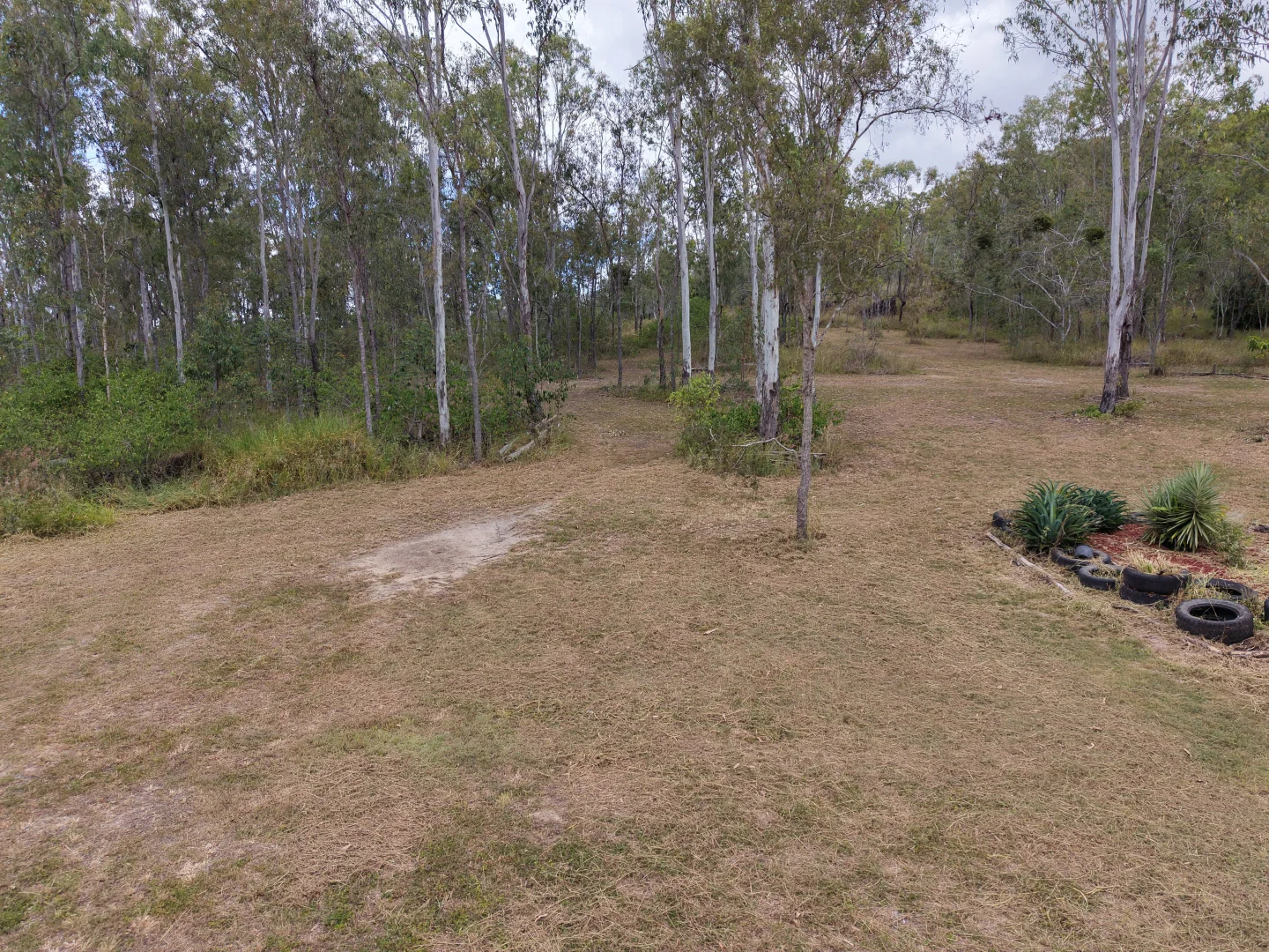 Image 15
