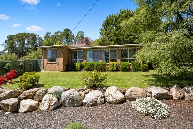 Picture of 20 Mountain Avenue, MOUNT BEAUTY VIC 3699