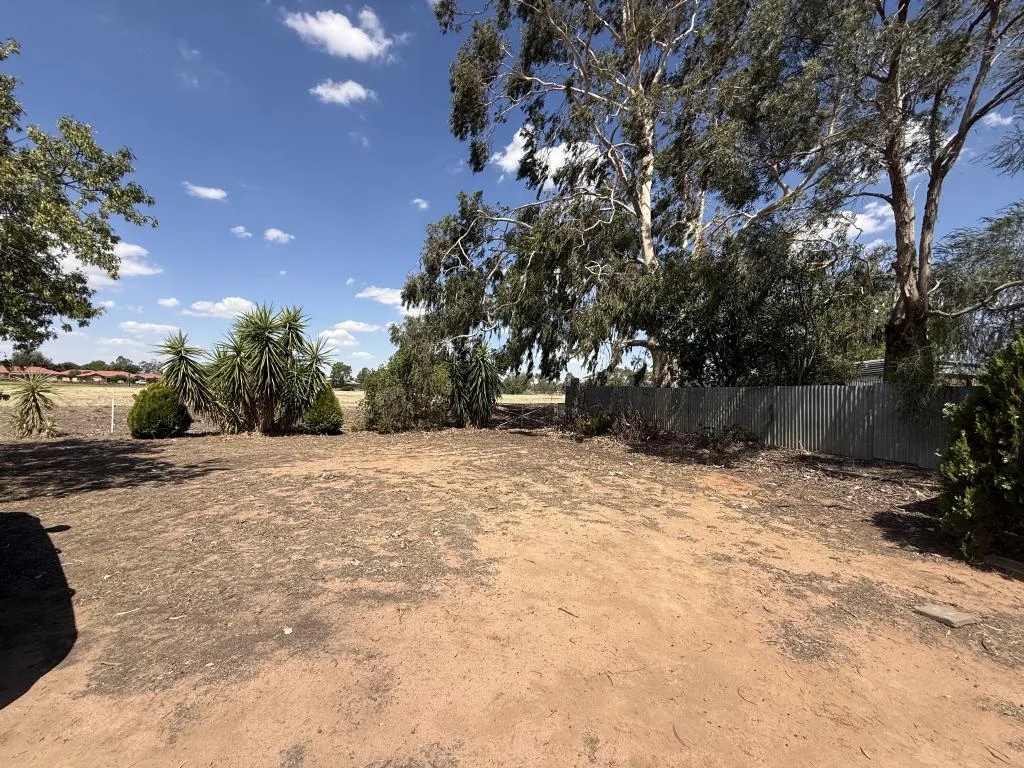 Additional image 16 of 56 Cobram Street, Berrigan NSW 2712