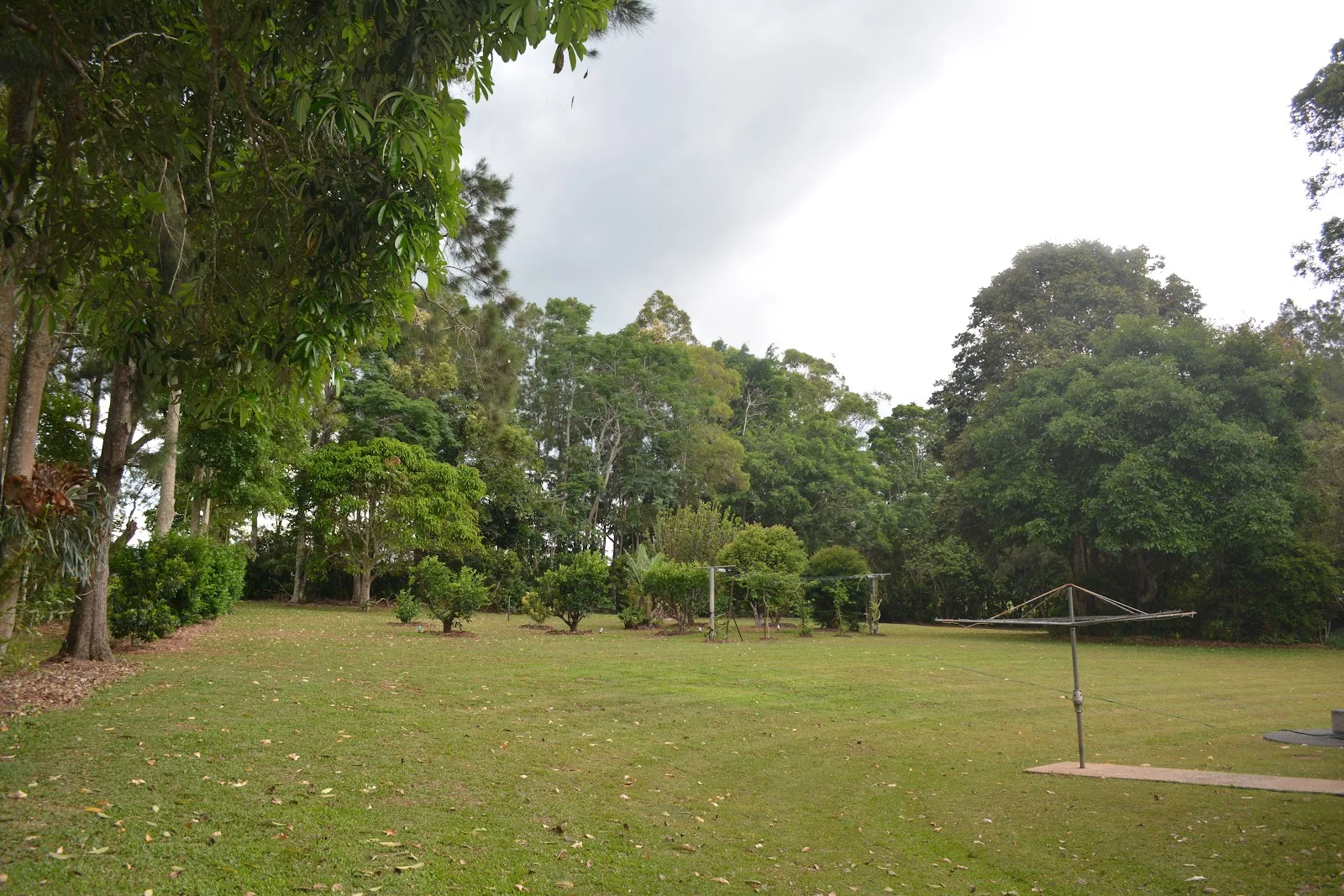 Image 36