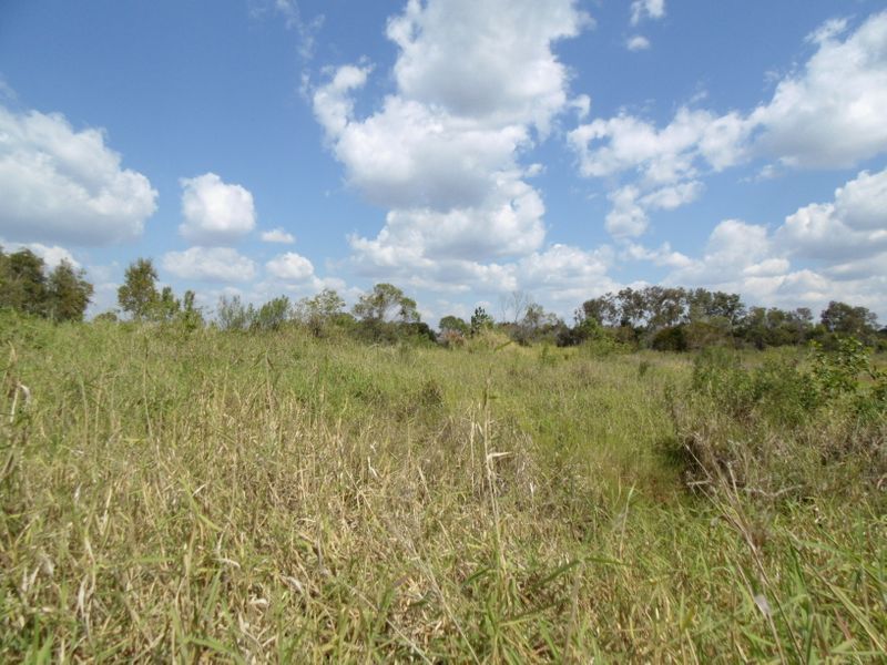 Lot 12 Mill Road, Cordalba QLD 4660, Image 0