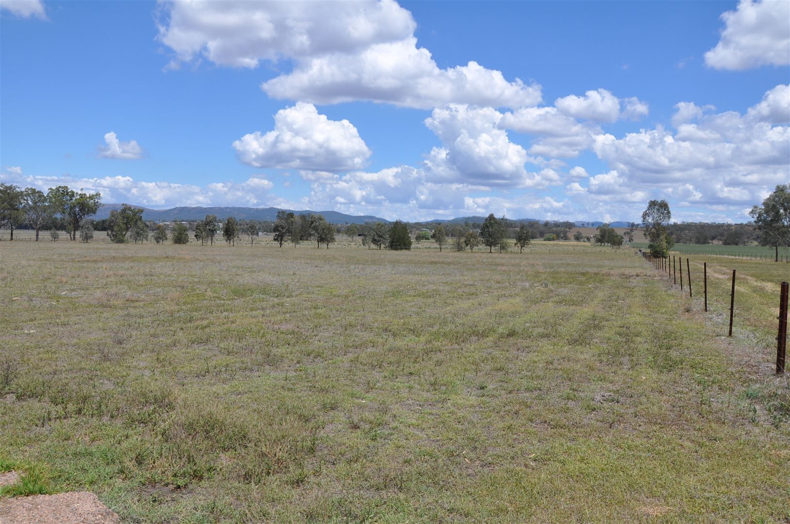 3133 New England Hwy, Scone NSW 2337, Image 1