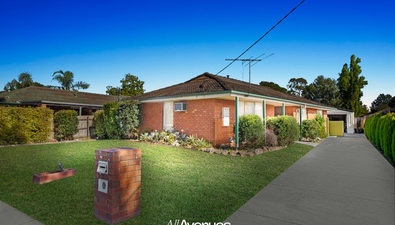 Picture of 37 Circle Drive, CRANBOURNE VIC 3977