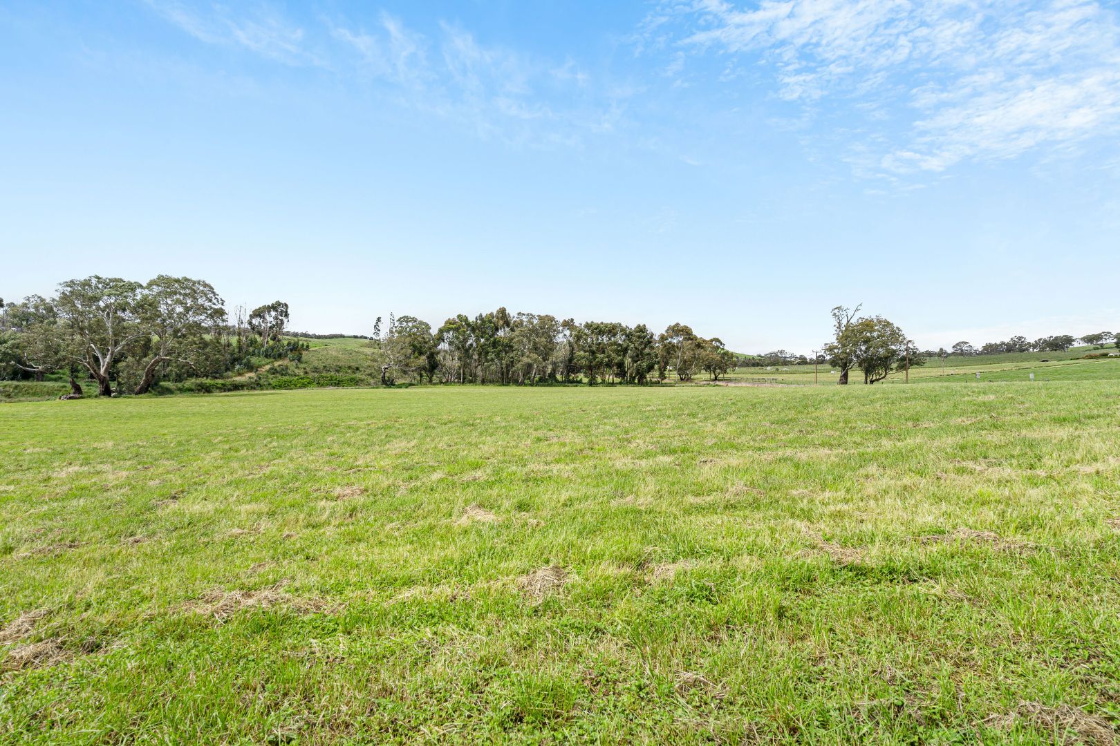 Lot 104 Pfeiffer Road, Woodside SA 5244, Image 2