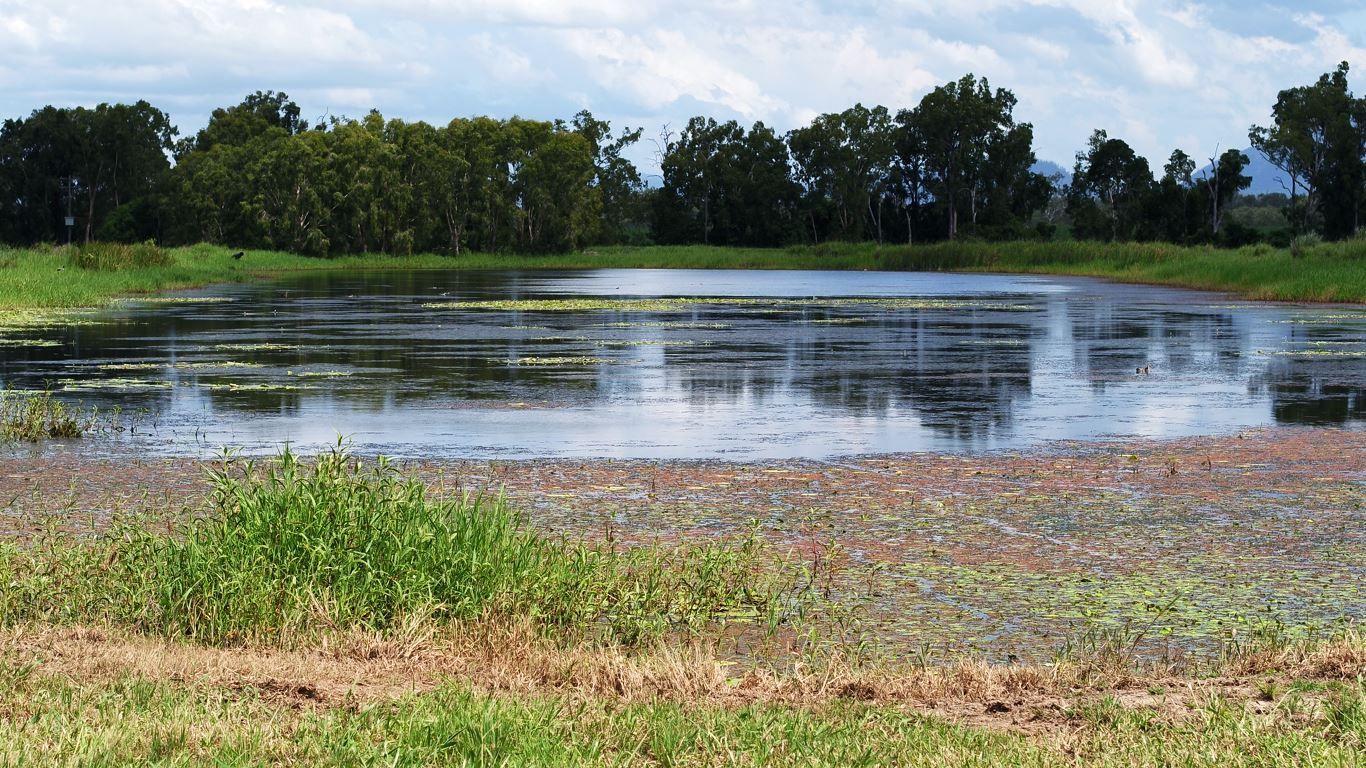 Gargett QLD 4741, Image 1