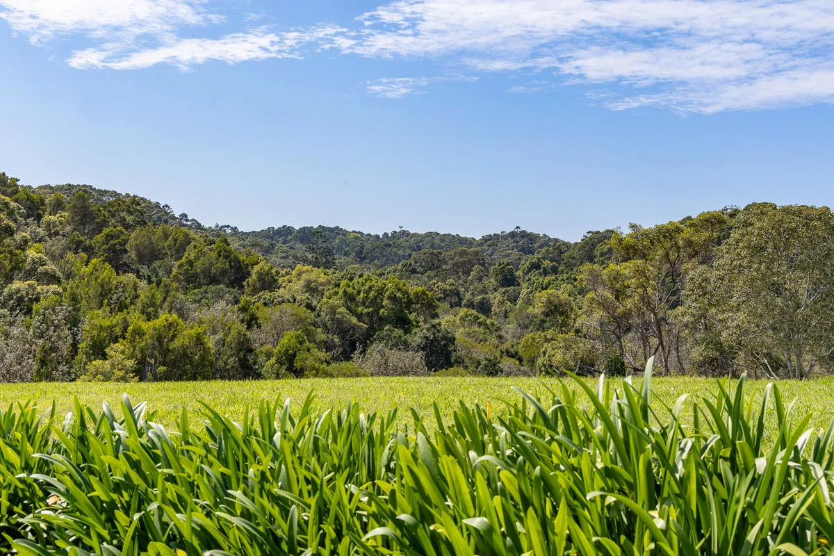 Additional image 28 of 6/95 Blackbutt Lane, Broken Head NSW 2481