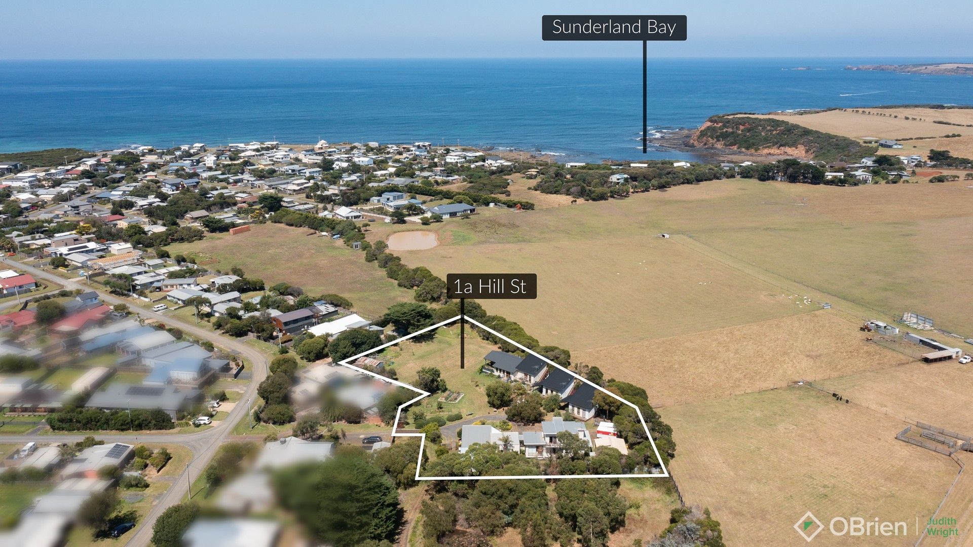 1A Hill Street, Sunderland Bay VIC 3922 Domain