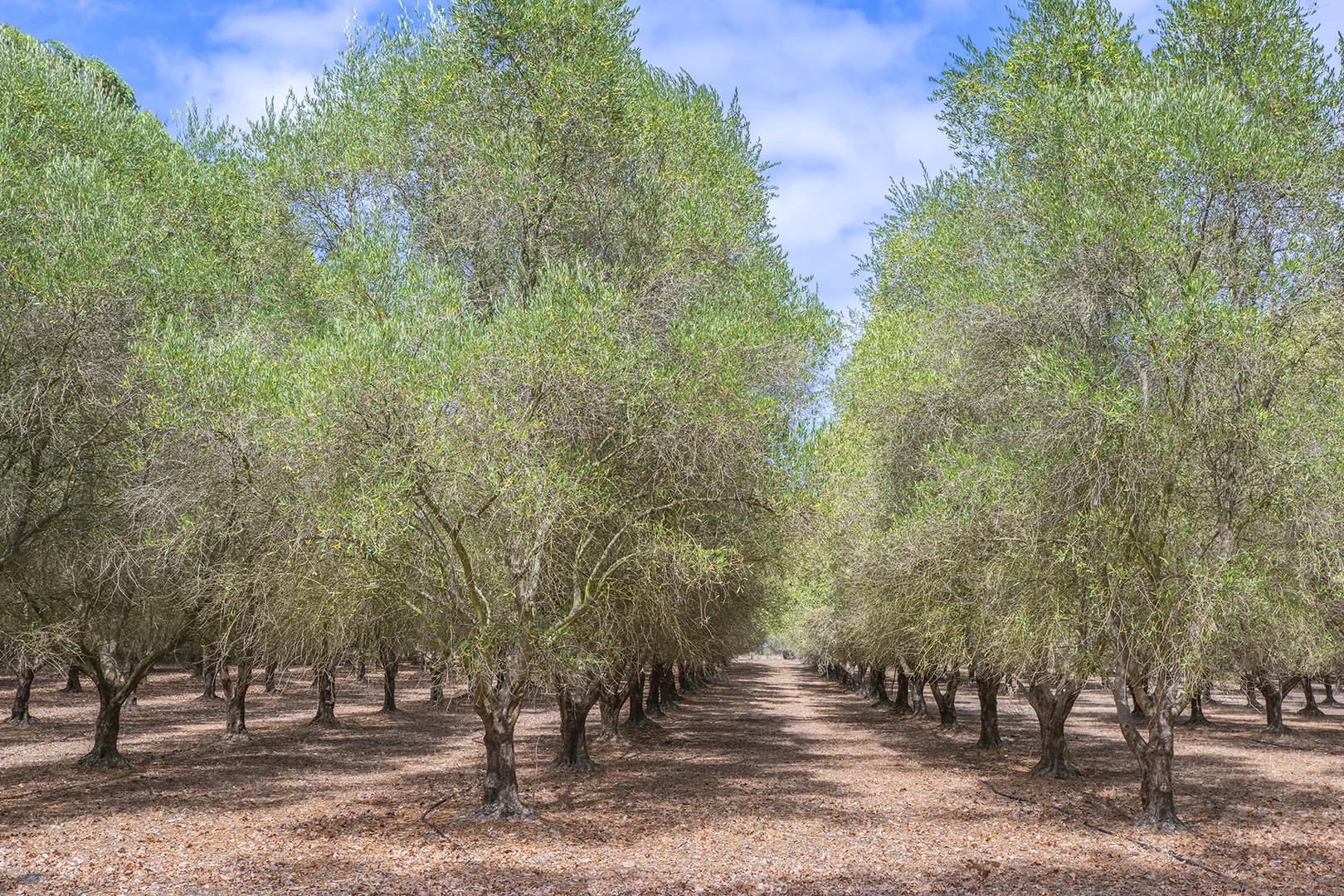 Additional image 23 of 69 Campbell Road, Warner Glen WA 6288