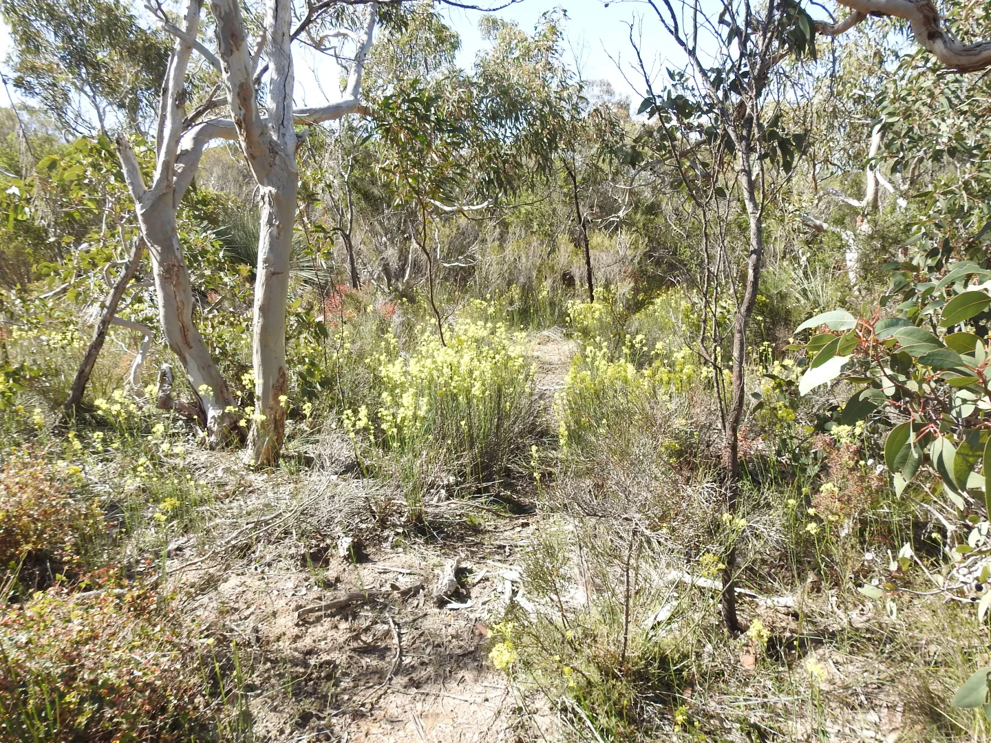 Image 60