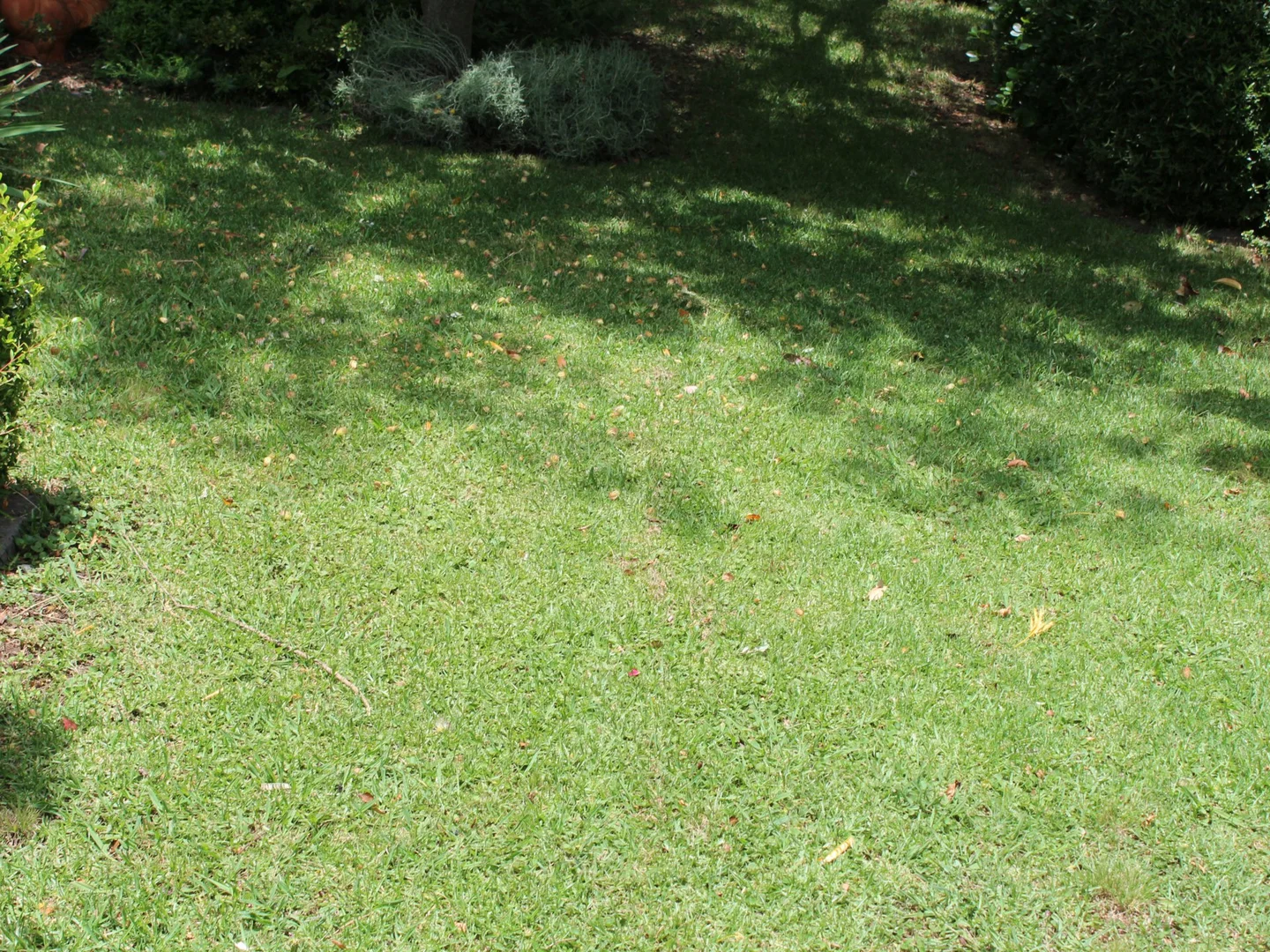 Image 27