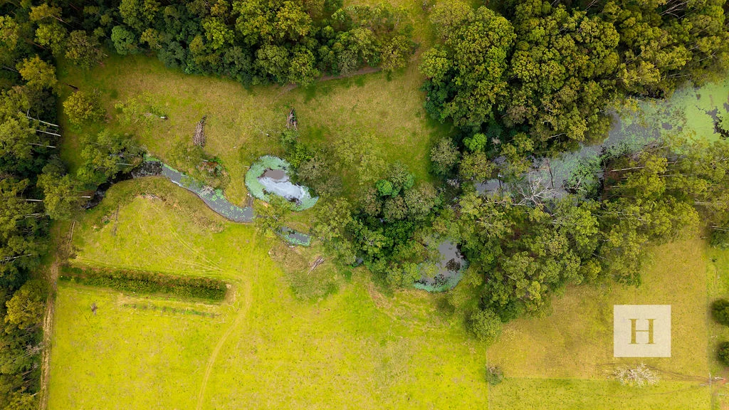 Additional image 17 of 200 Coopernook Forest Way, Lansdowne Forest NSW 2430