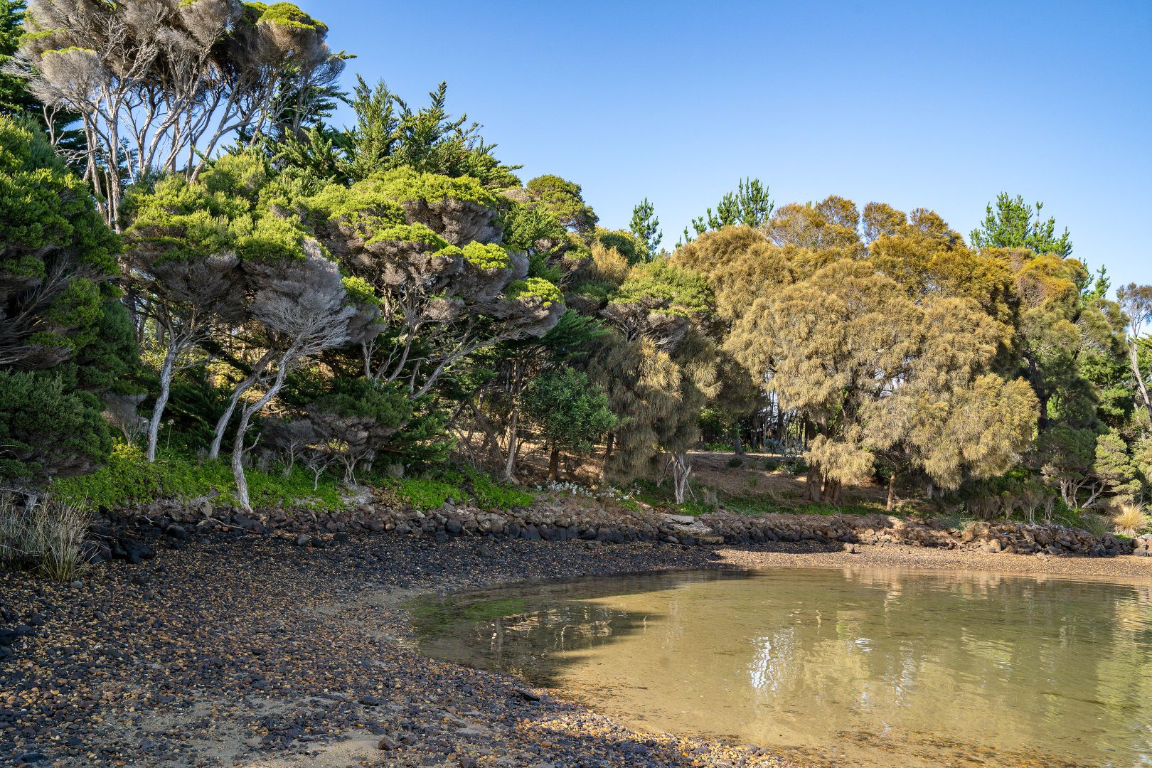 121 Bevic Road, Clarence Point TAS 7270, Image 1