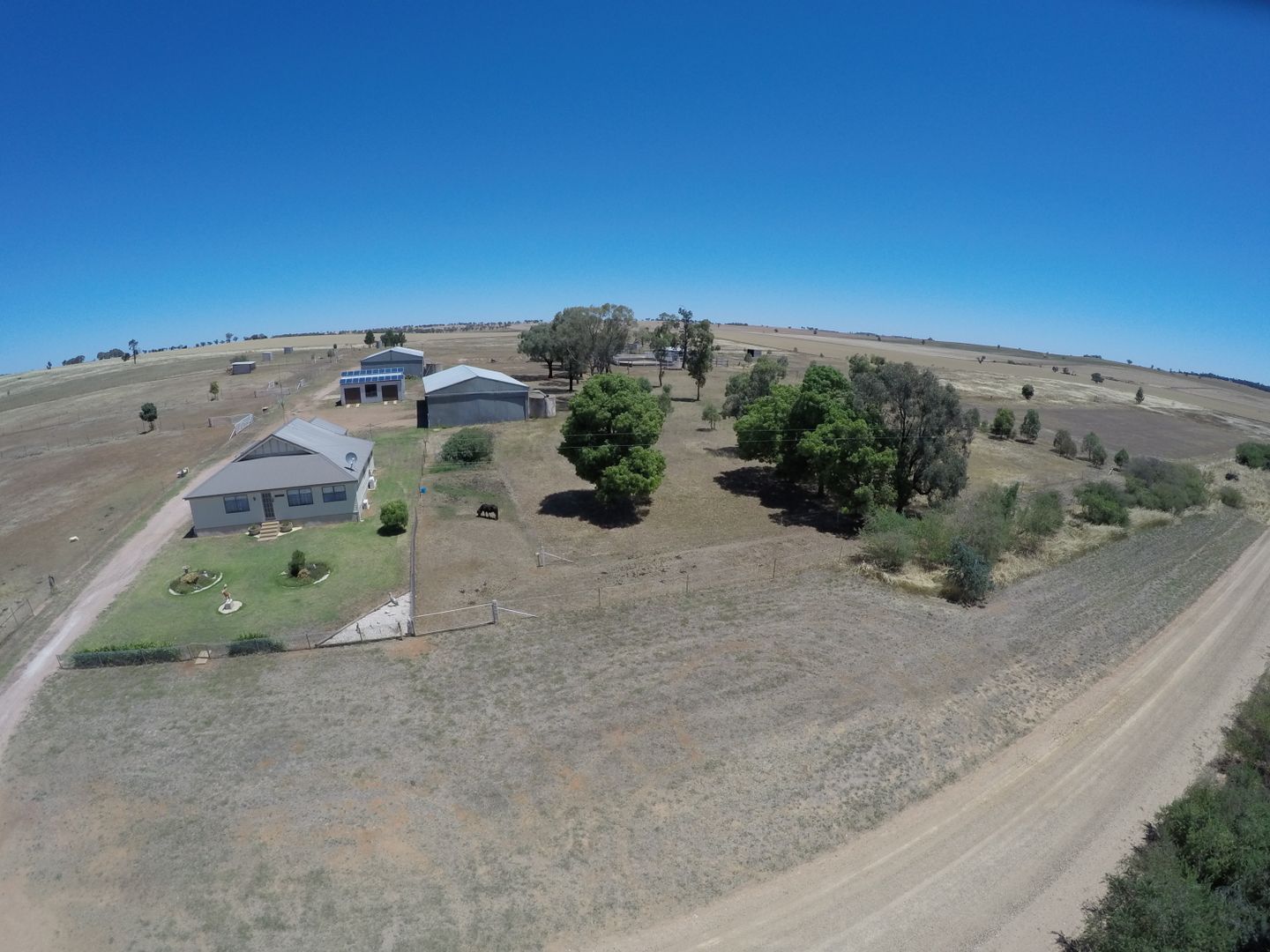 Temora NSW 2666 House for Sale 780,000 Domain
