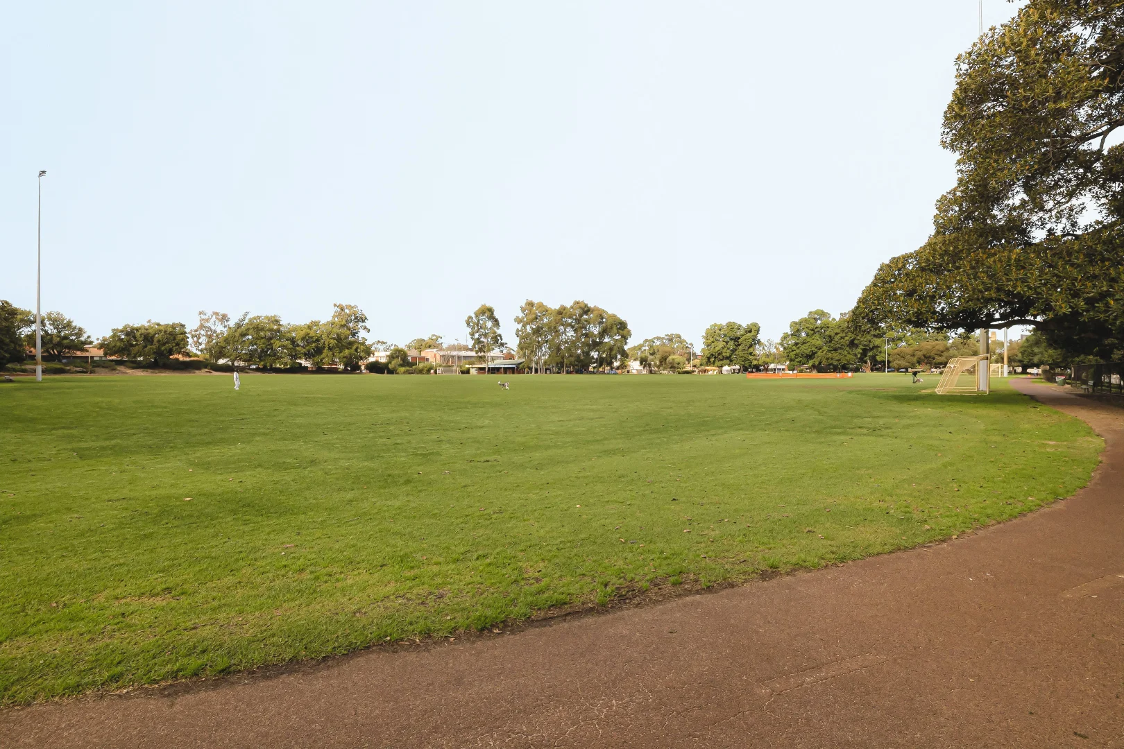Image 21