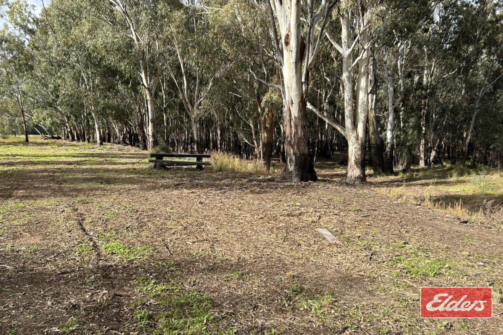 Image 22