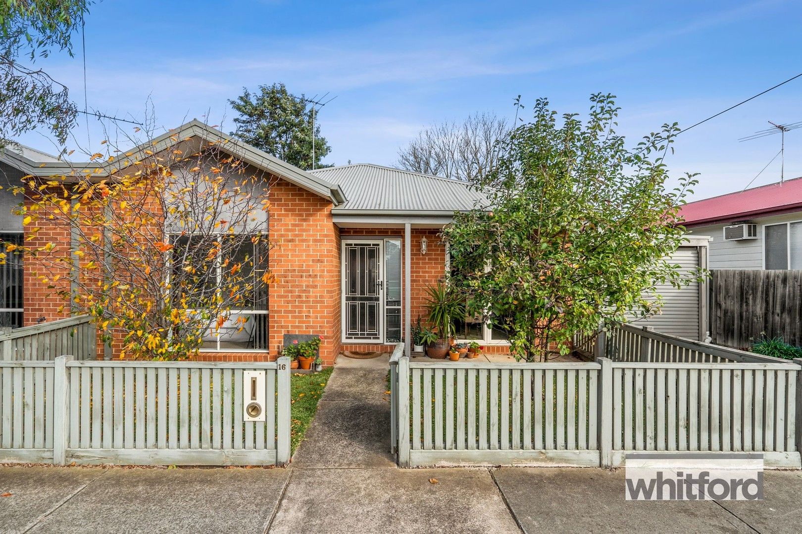 16 Karoomba Avenue, Herne Hill VIC 3218 Domain