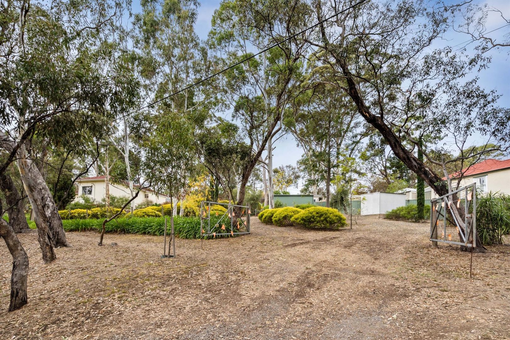 14 Blackthorn Avenue, Hawthorndene SA 5051, Image 1