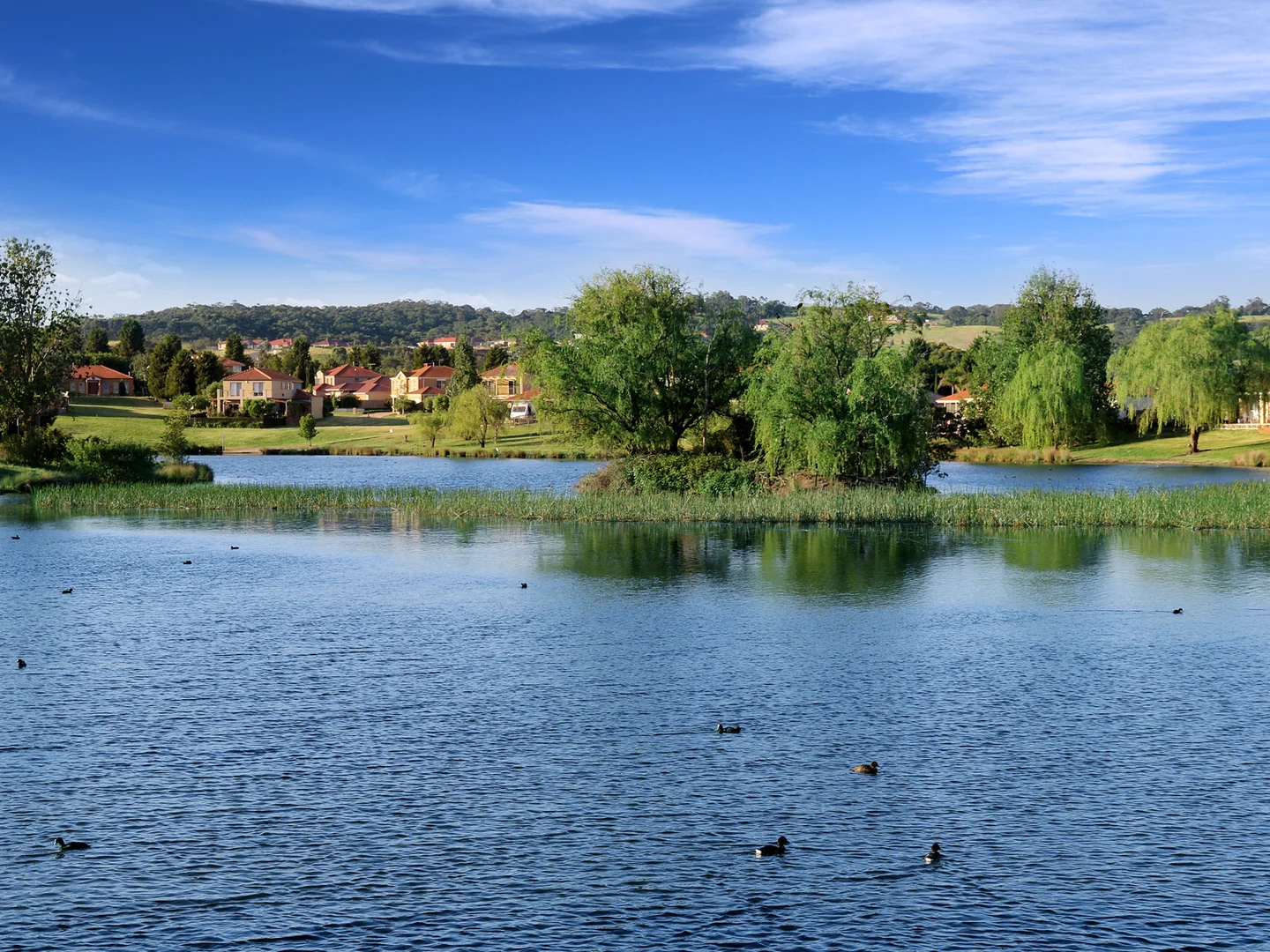 Additional image 13 of Lot 1001, Lucca Way, Hidden Valley VIC 3756