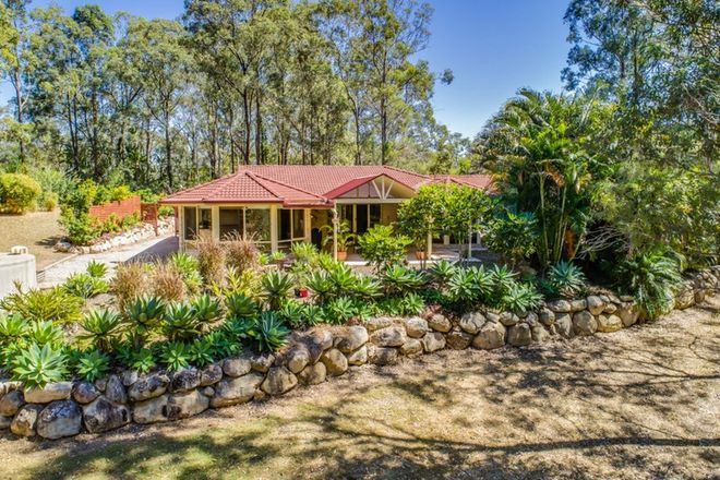 Picture of 49-51 Thornbird Court, CANUNGRA QLD 4275