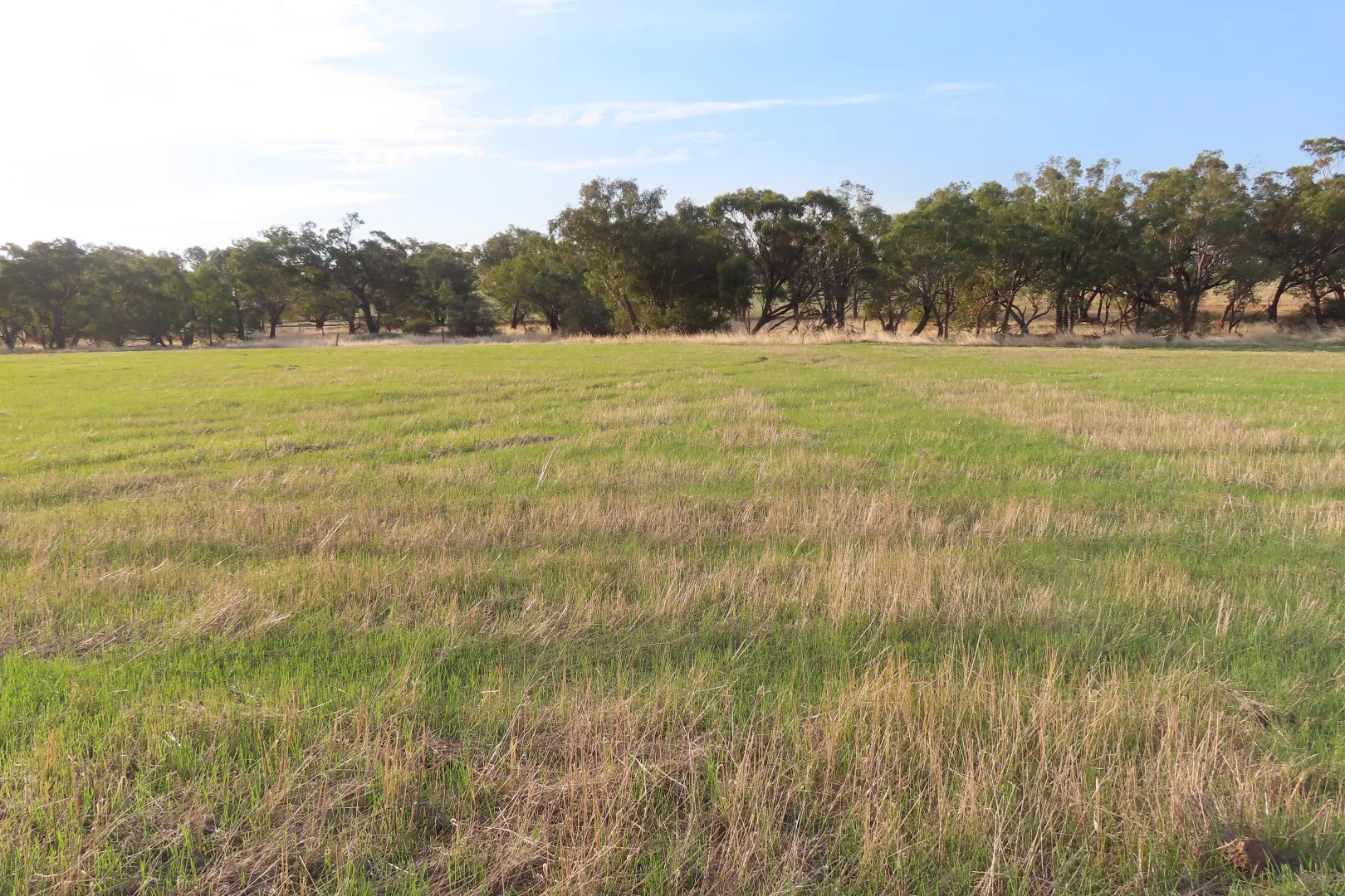 Additional image 4 of Lot 15 Barndon Street, Spencers Brook WA 6401